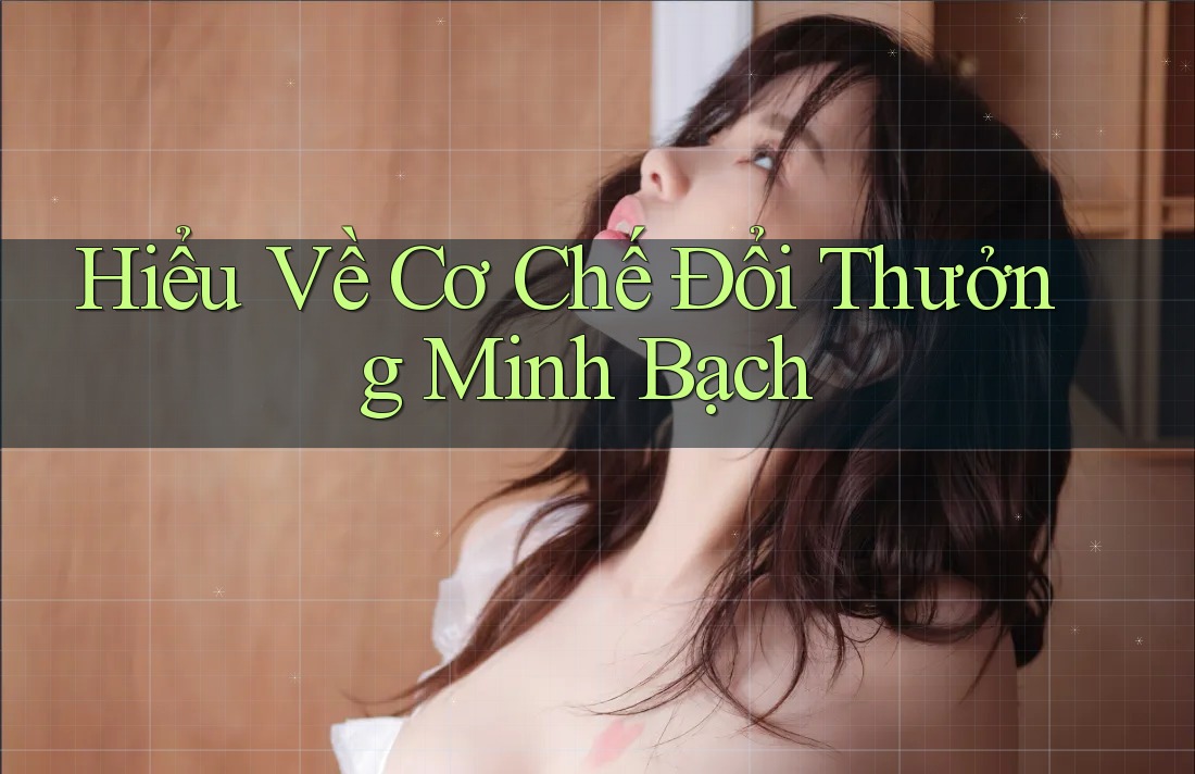 Hiểu Về Cơ Chế Đổi Thưởng Minh Bạch Hiểu Về Cơ Chế Đổi Thưởng Minh Bạch